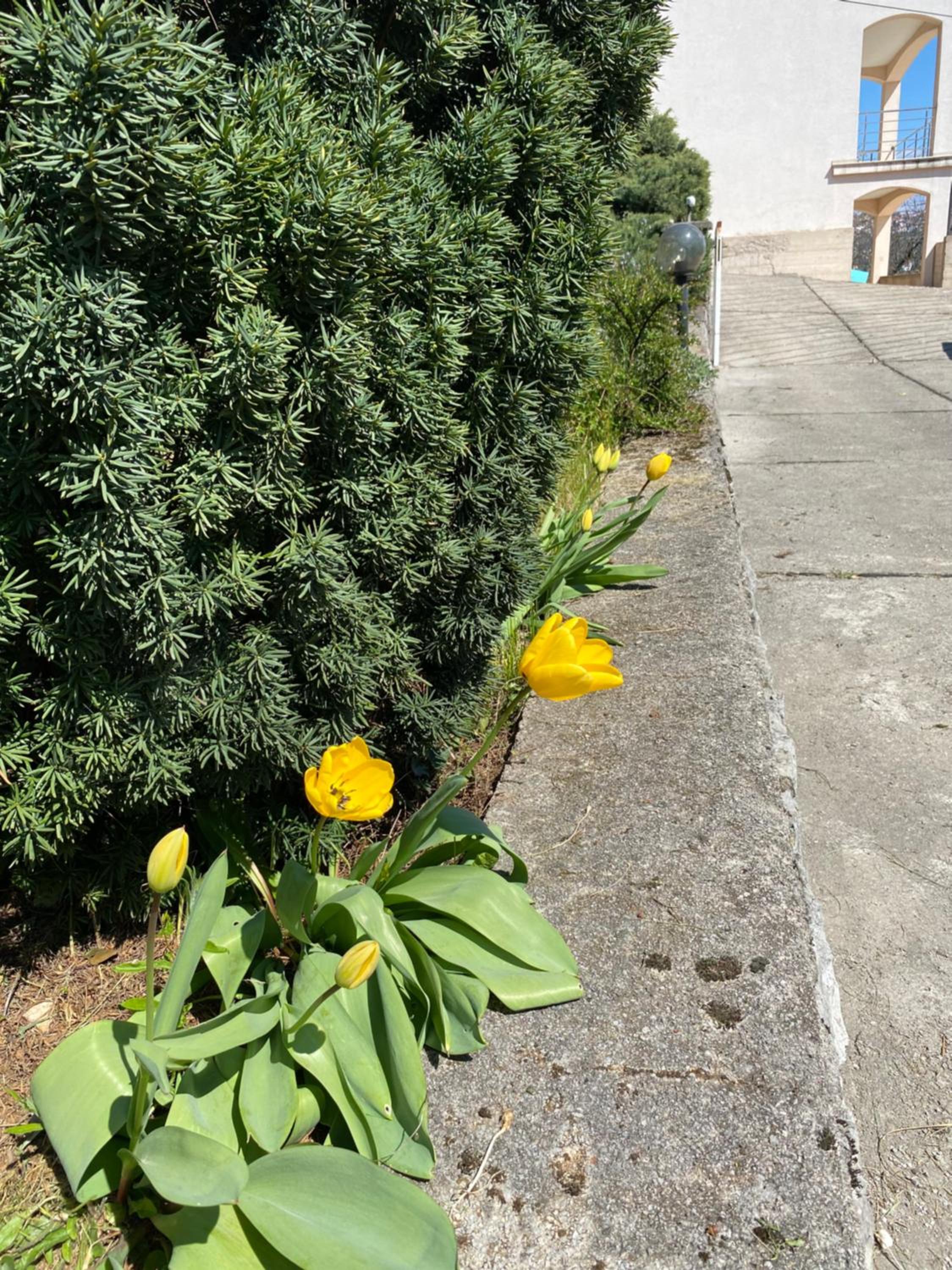 Photo 38