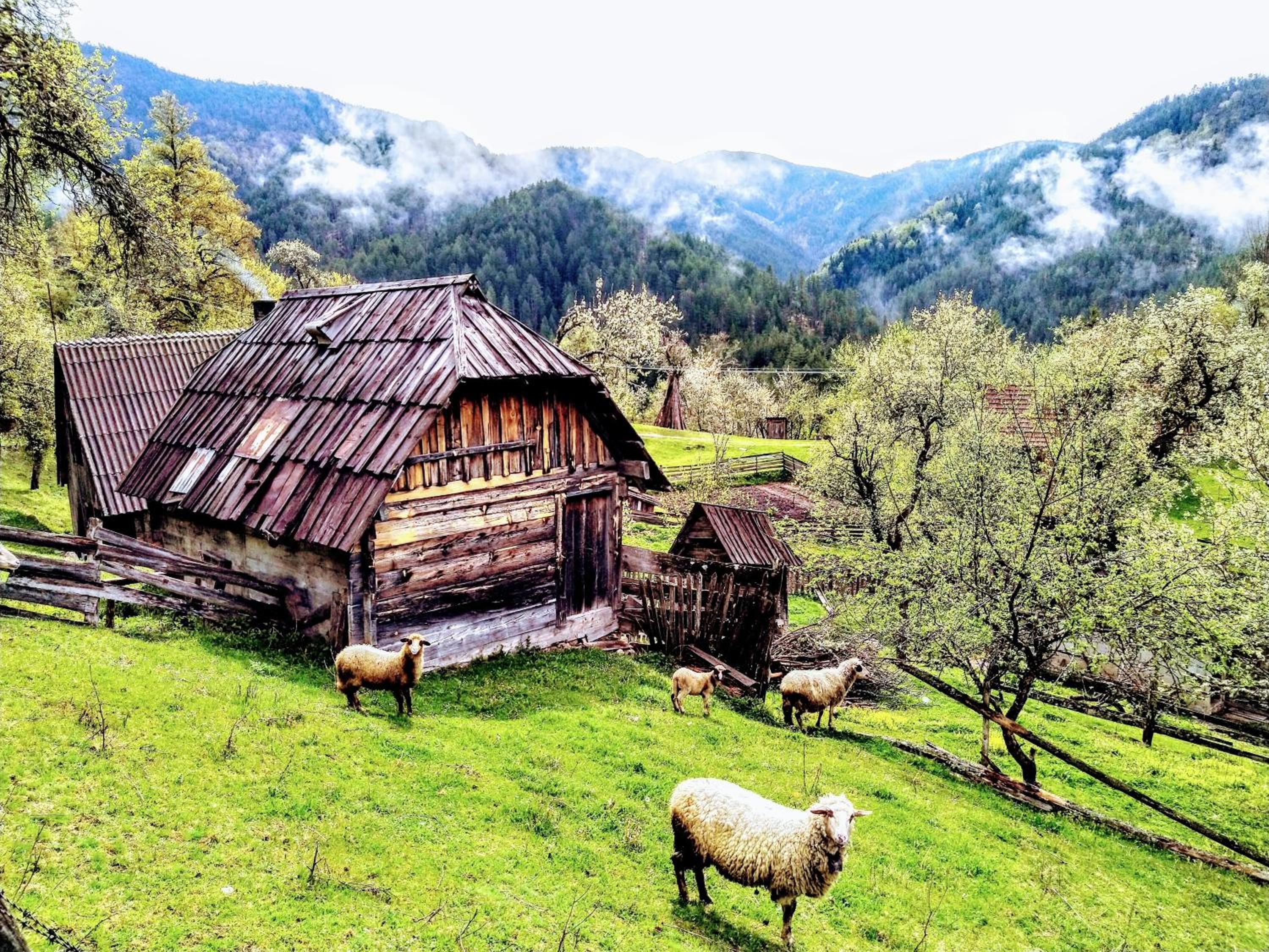 Konaci Gradina
