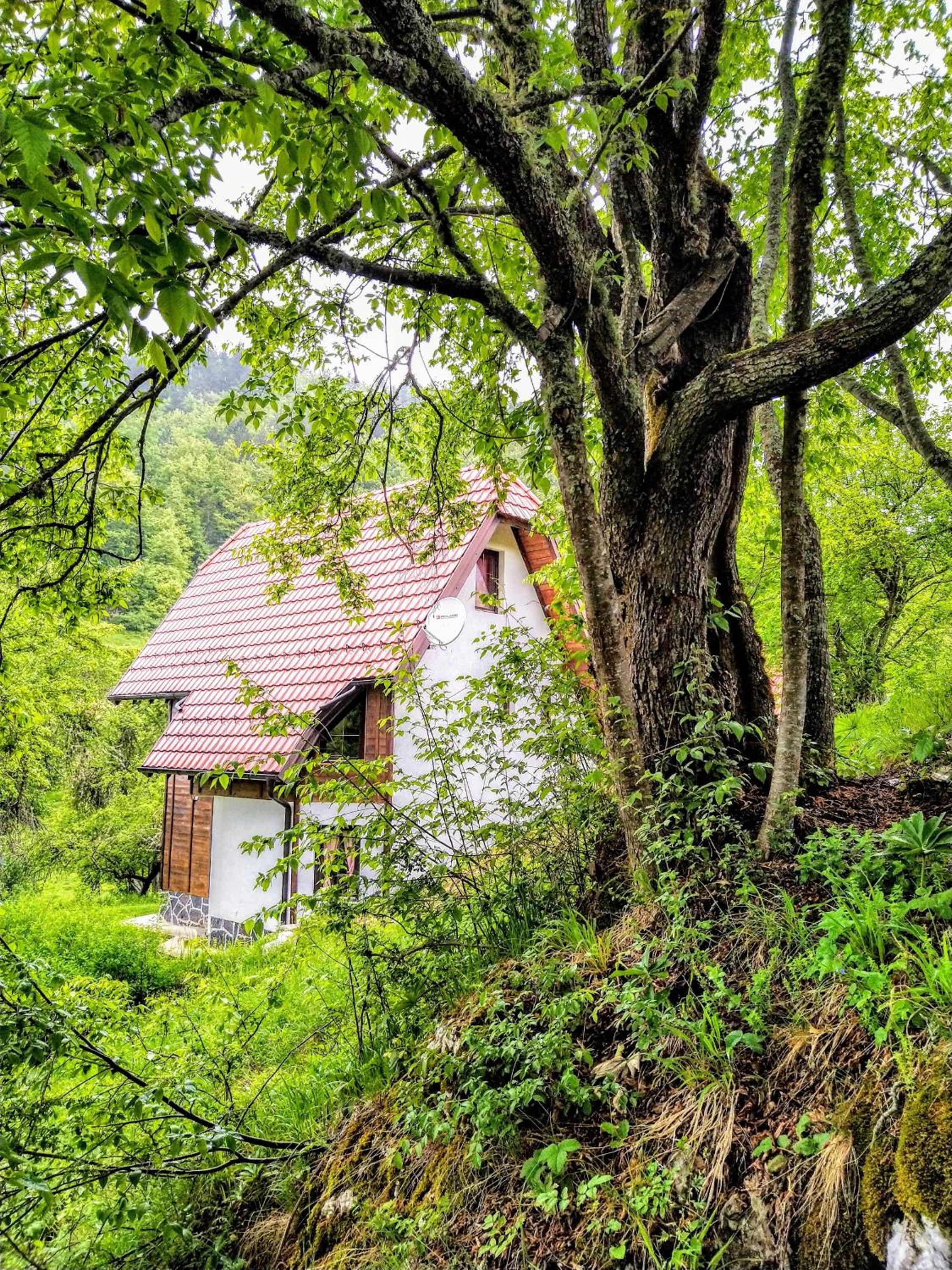 Konaci Gradina