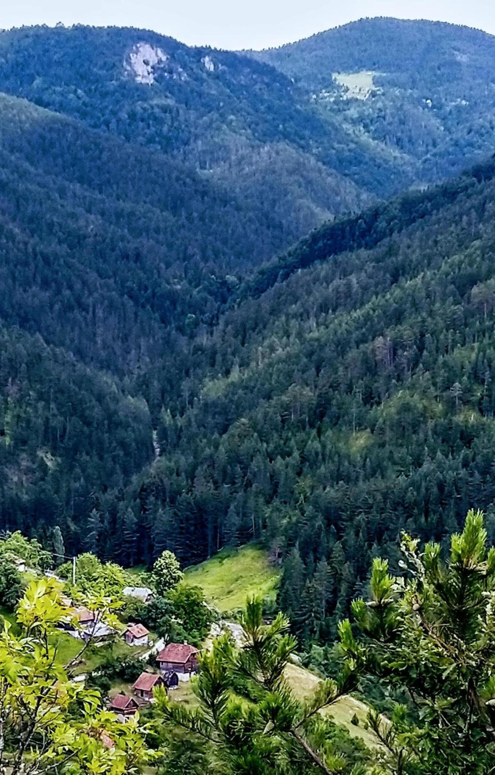 Konaci Gradina