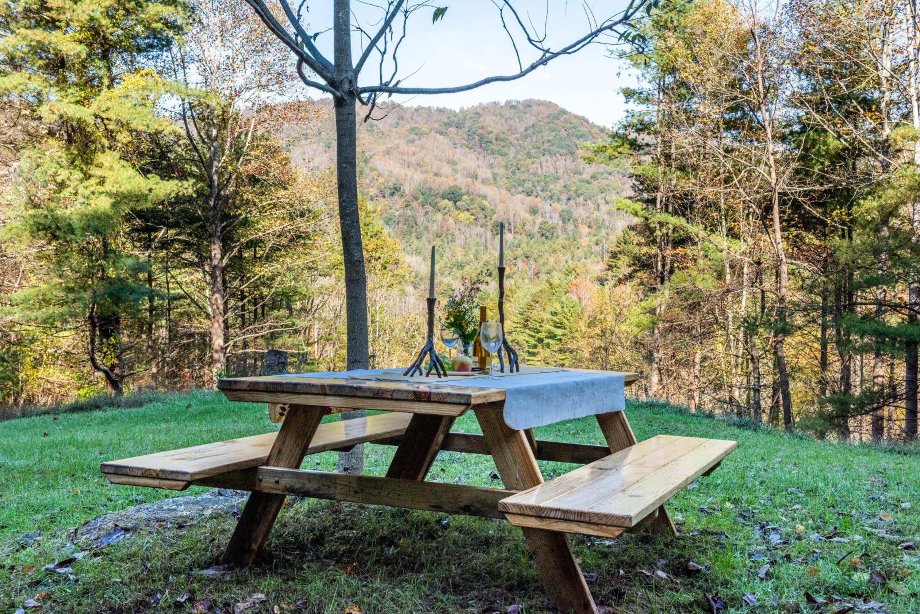Villa at Stony Woods Estate near Asheville view 3