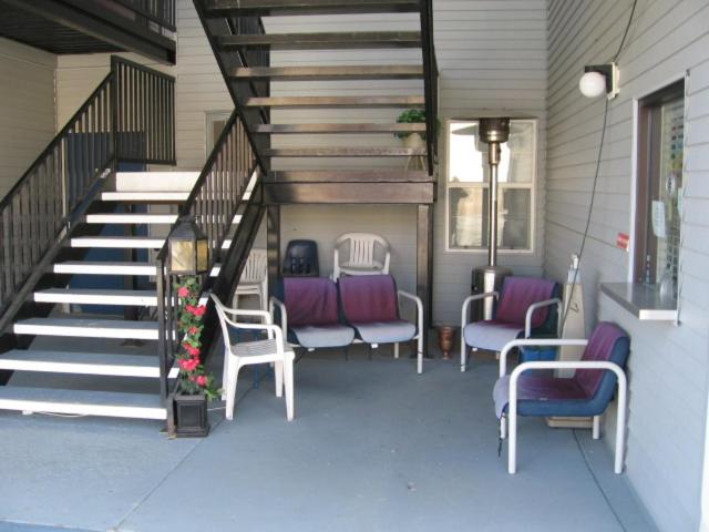 Little Bear Motel