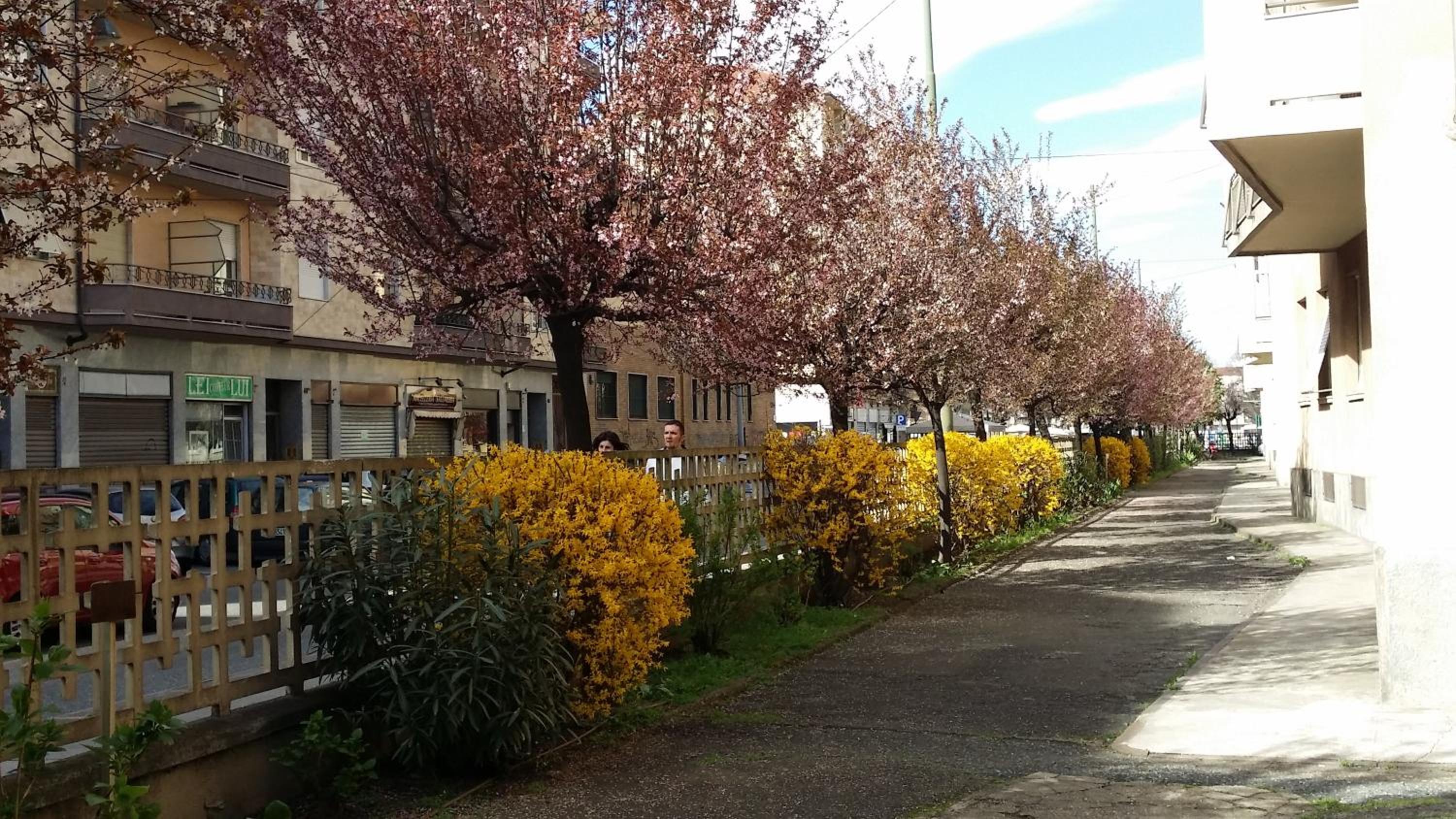 Il Sole e La Luna en Turin — other
