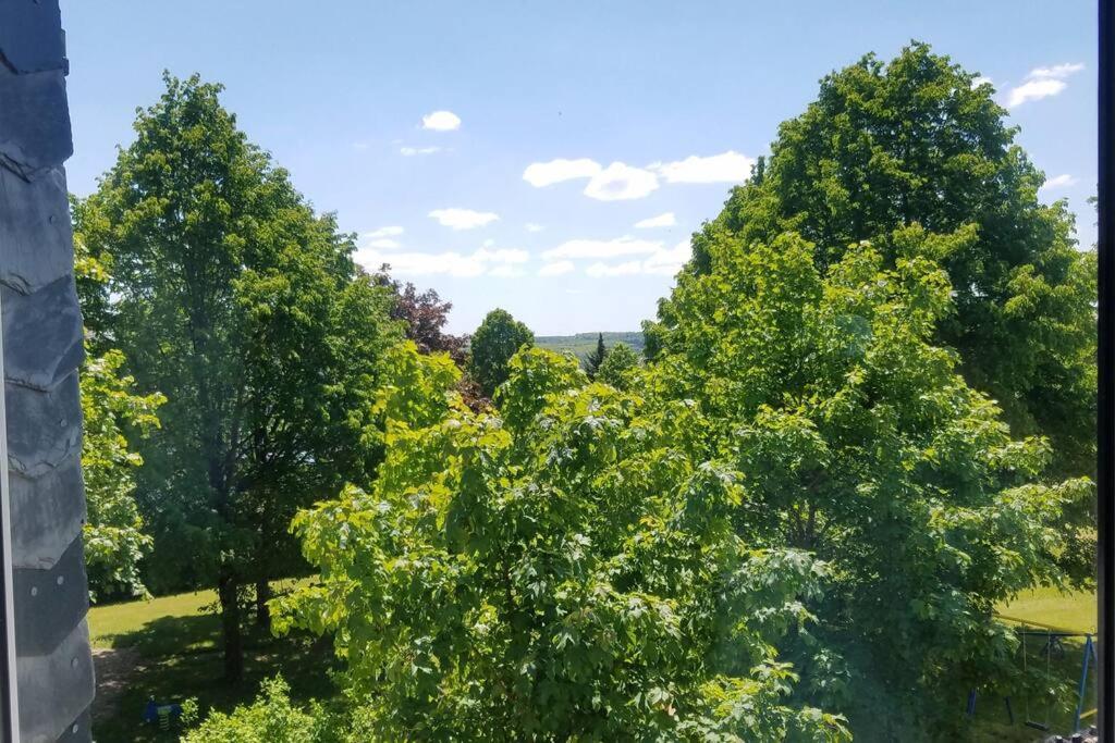 Ferienwohnung Alte-Schule-Kail Wohnung 2