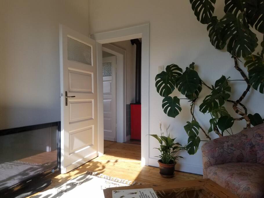 Ferienwohnung Alte-Schule-Kail Wohnung 2