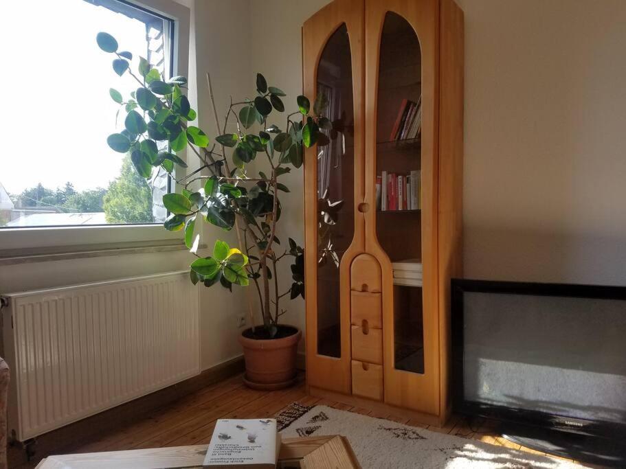 Ferienwohnung Alte-Schule-Kail Wohnung 2