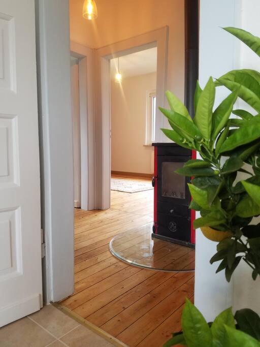 Ferienwohnung Alte-Schule-Kail Wohnung 2