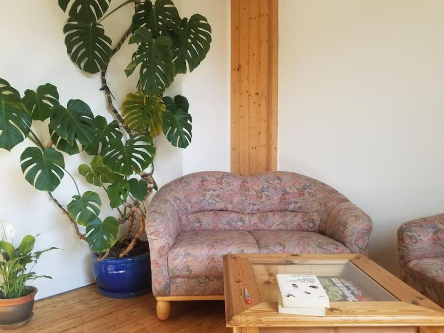 Ferienwohnung Alte-Schule-Kail Wohnung 2