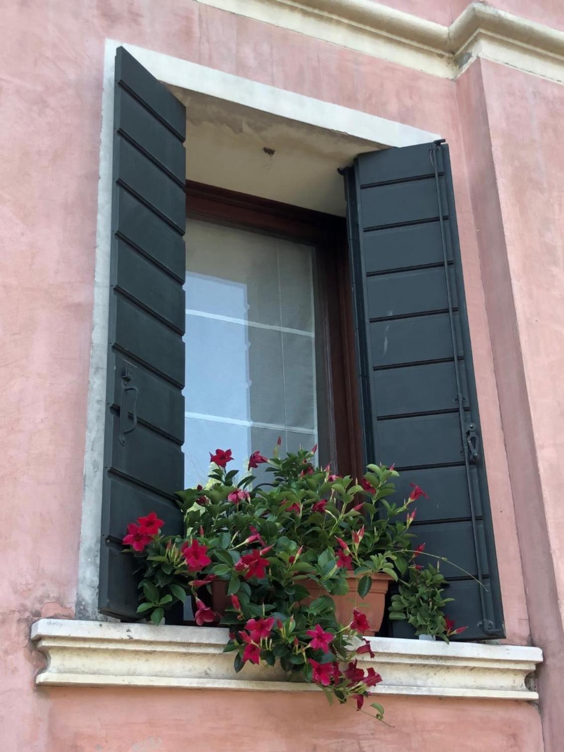 Villa Trevisi - APARTMENT-free parking view 5