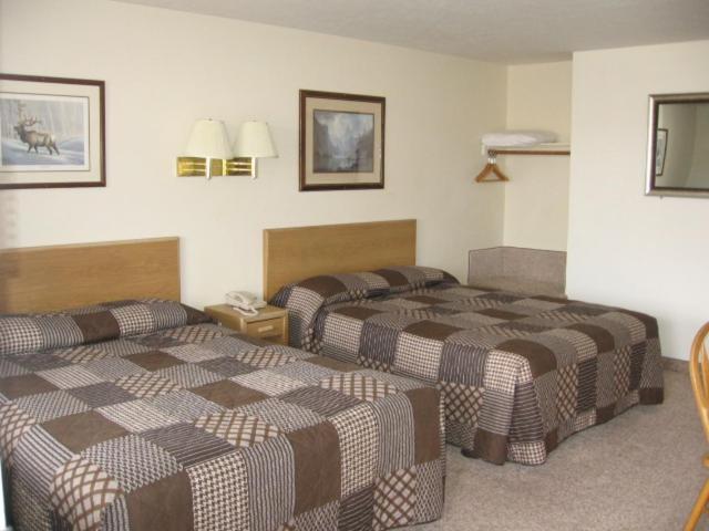 Little Bear Motel