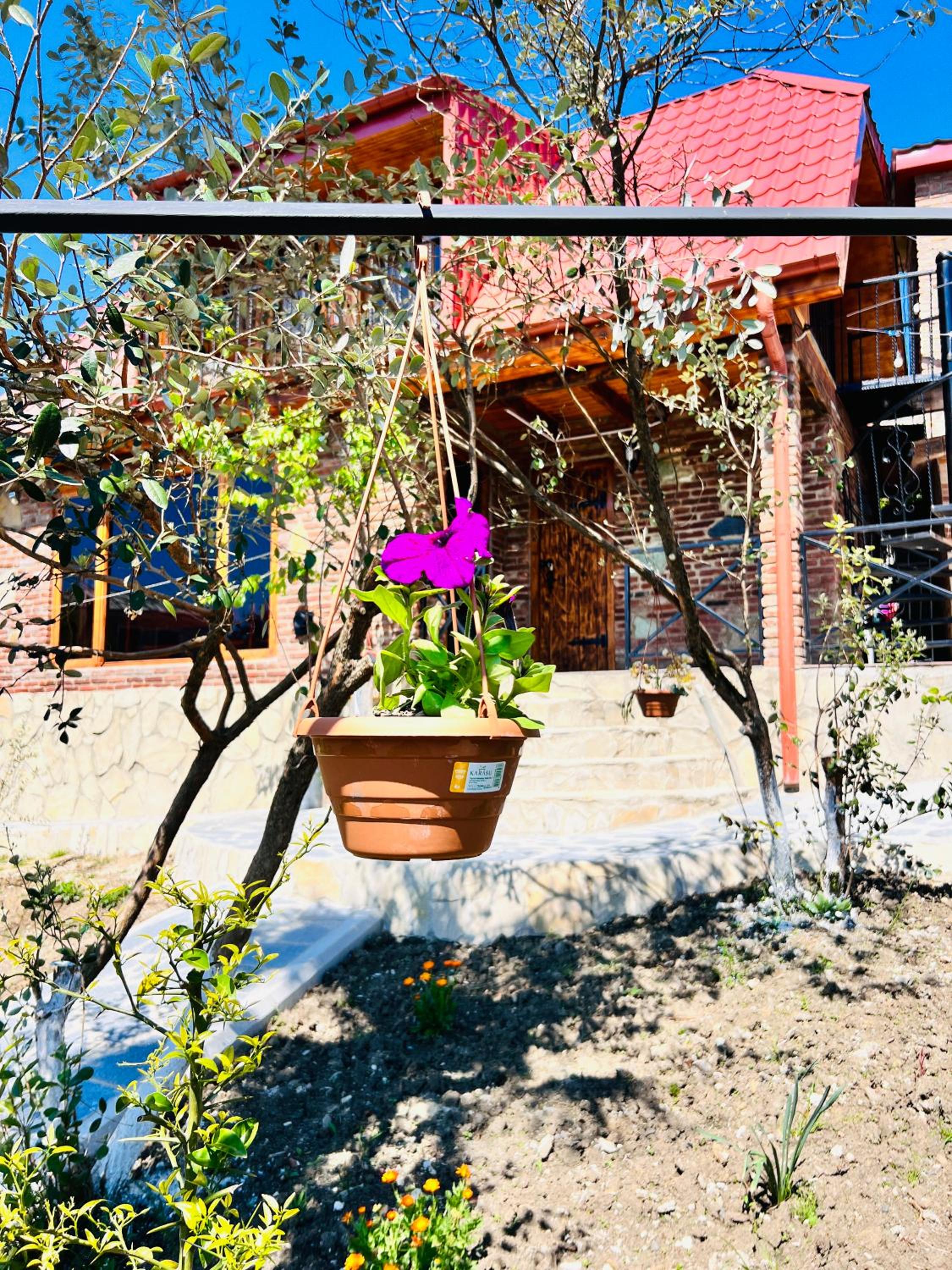 Sunshine House