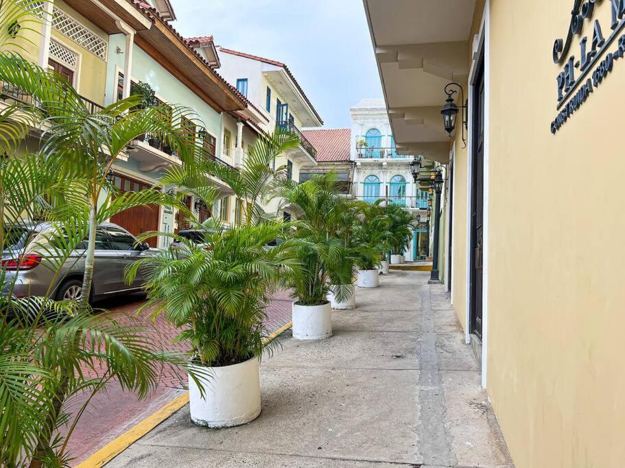 Amazing experience Casco Viejo 5