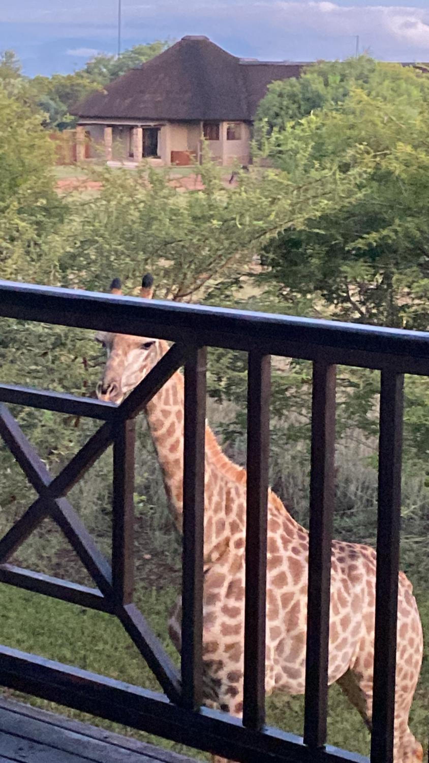 Luna Crescente 19 and 19A Zebula golf and spa resort 14 Pax Bela Bela Limpopo view 5