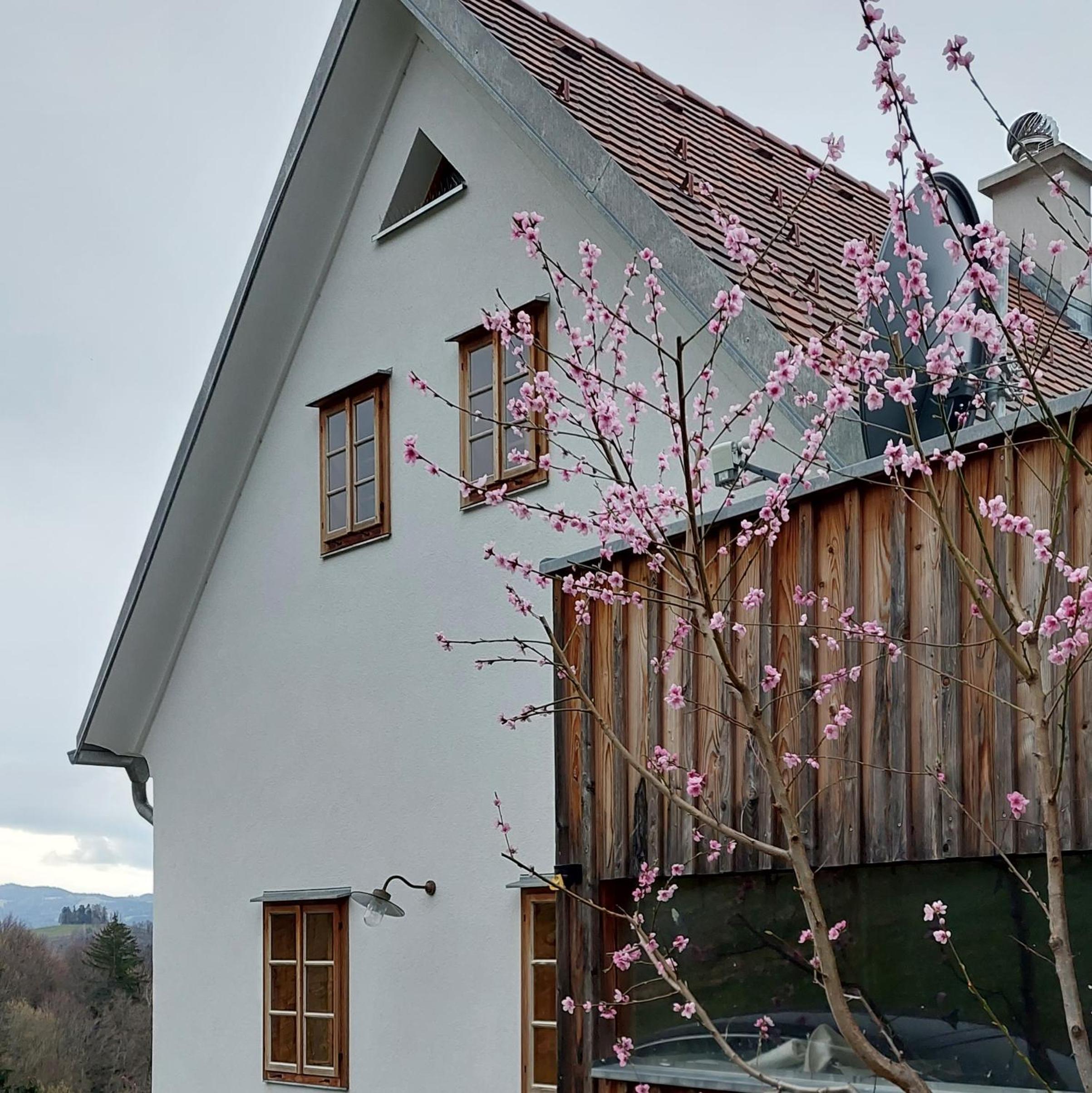Weingartenhaus Eckberg41