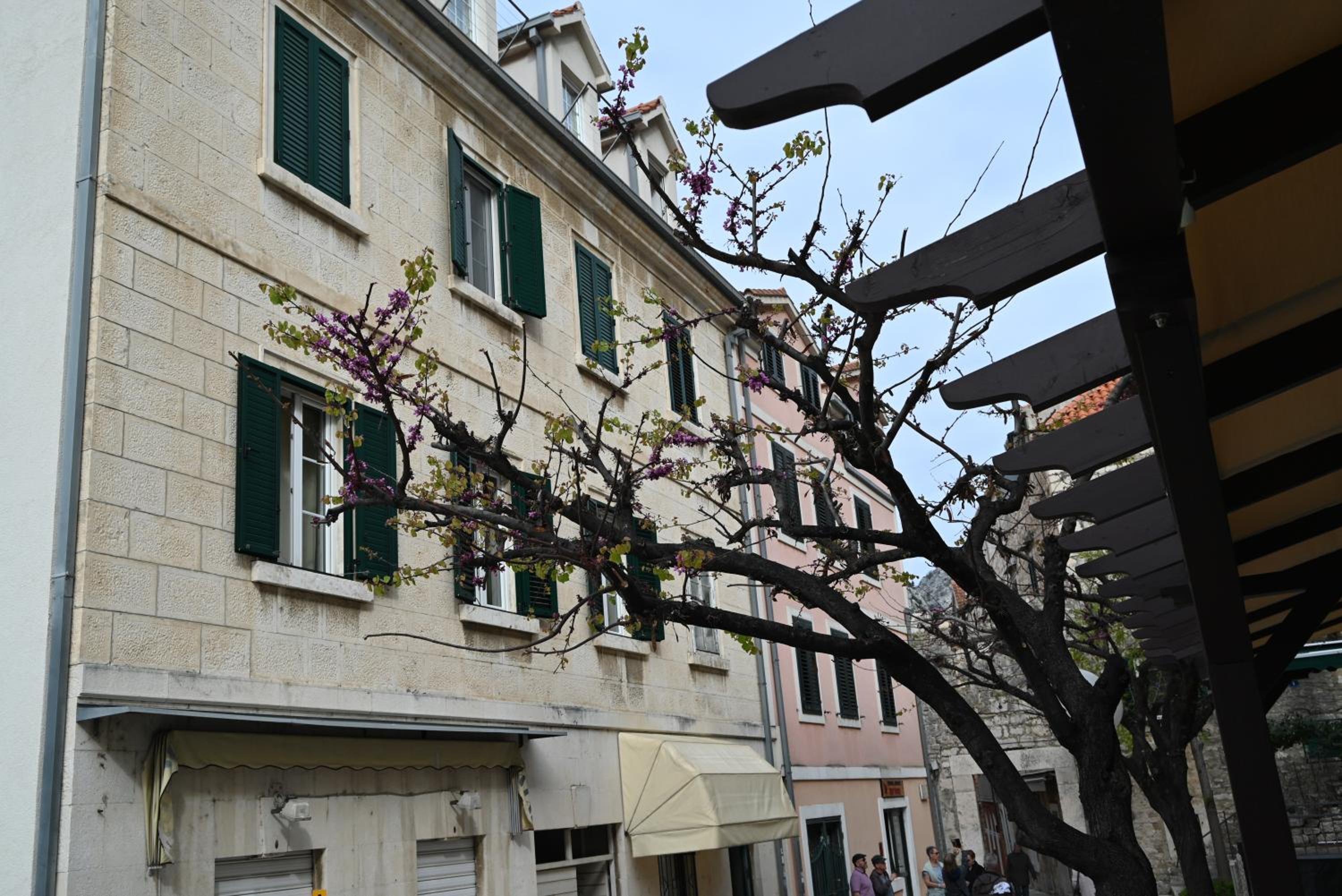 Photo 44