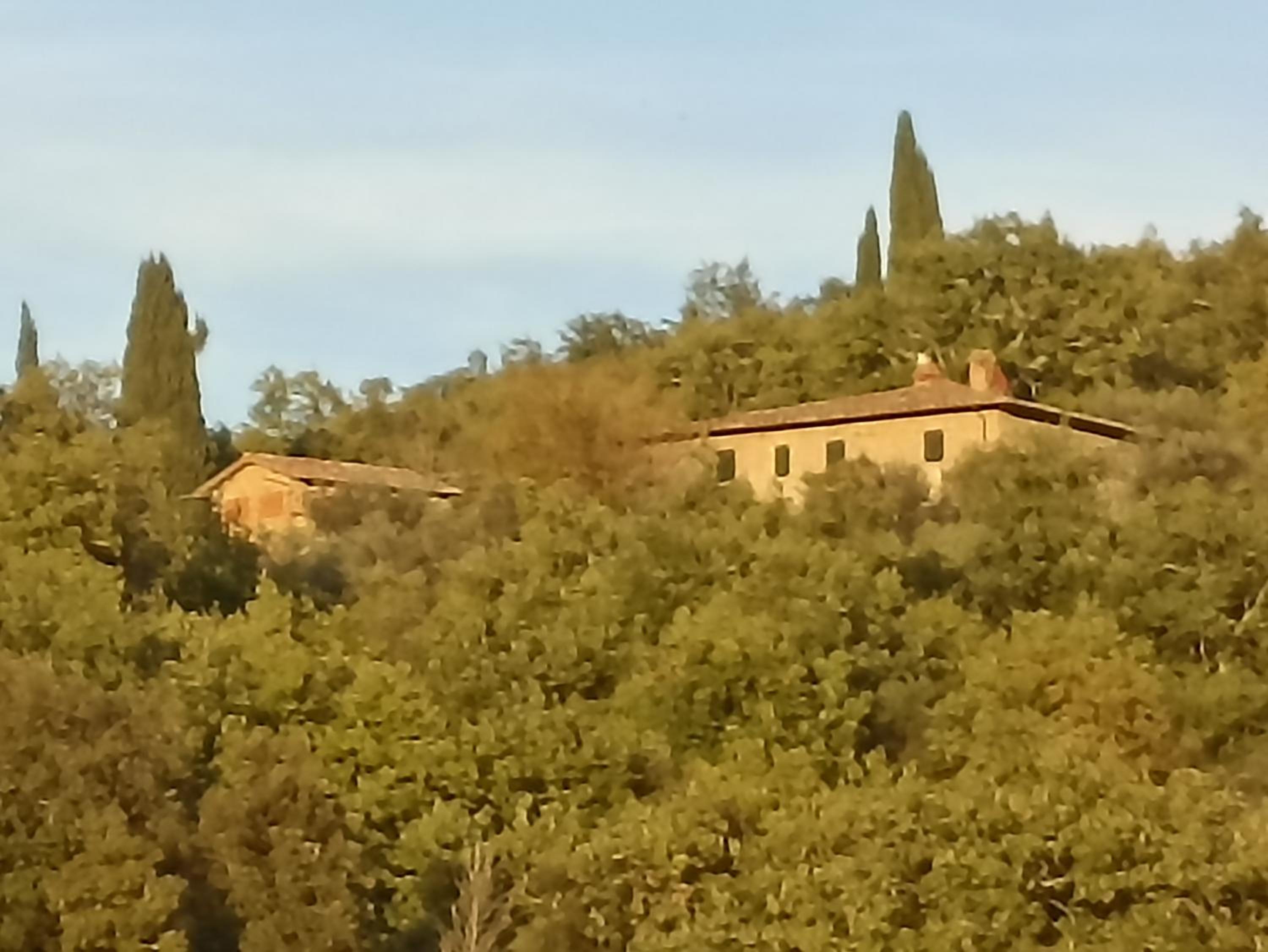 Villa Querciolaia nel chianti