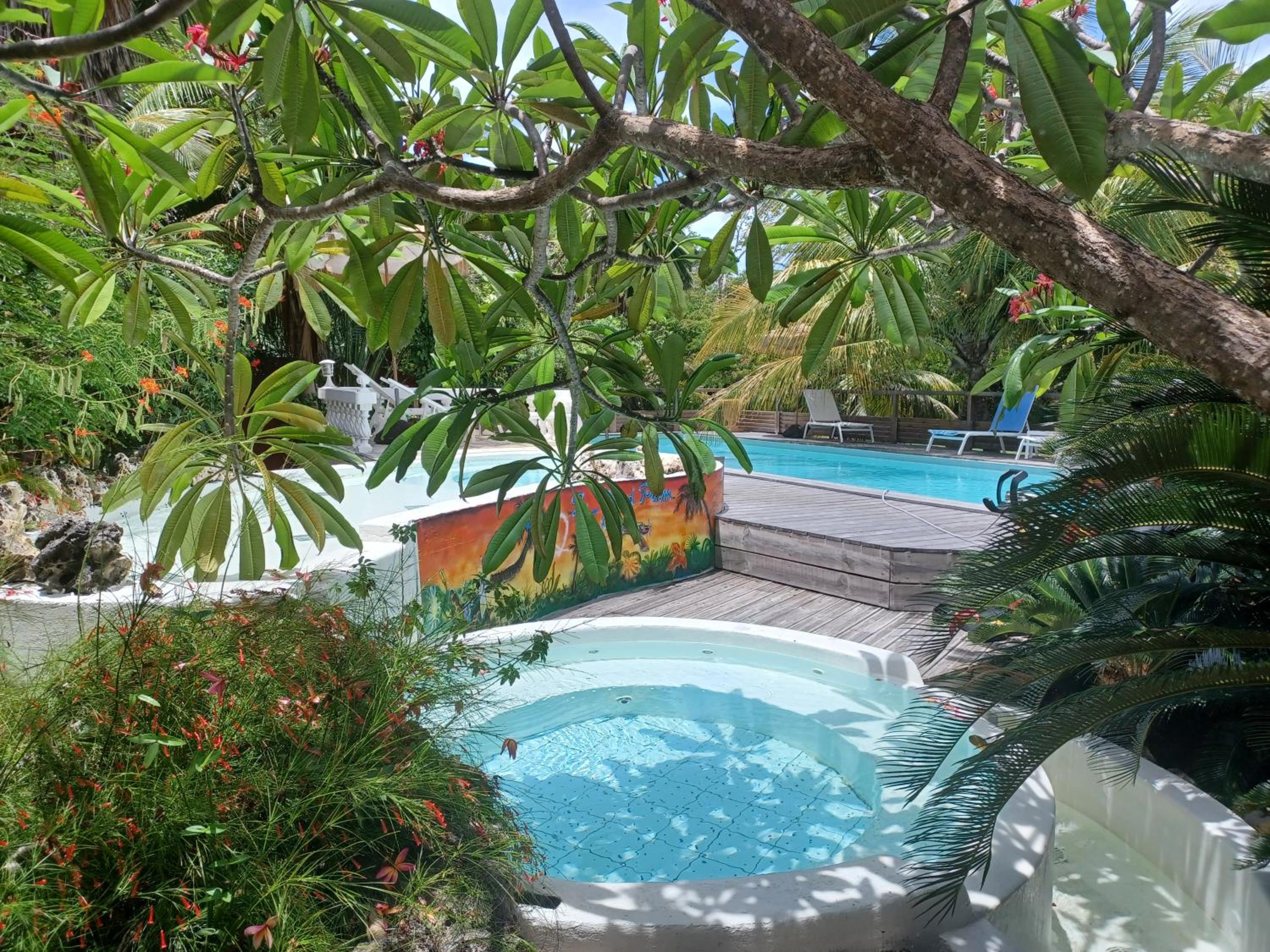 Le grand palm gîte tobago view 3