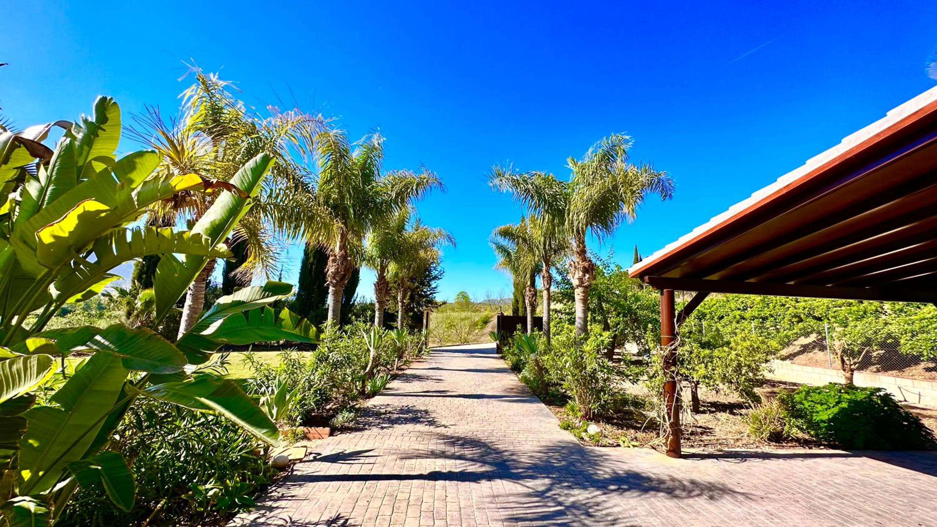 Finca La Panorámica
