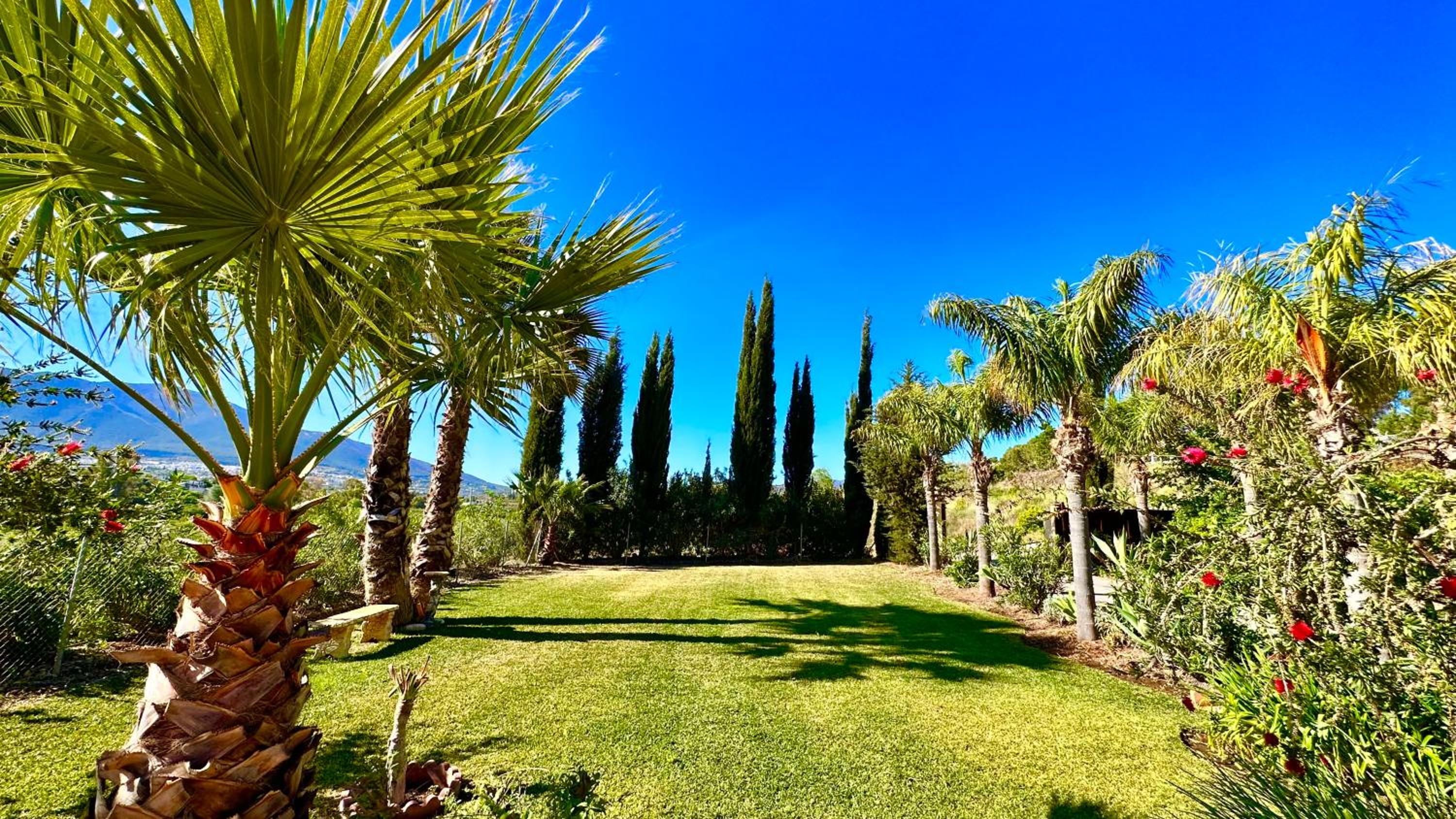 Finca La Panorámica