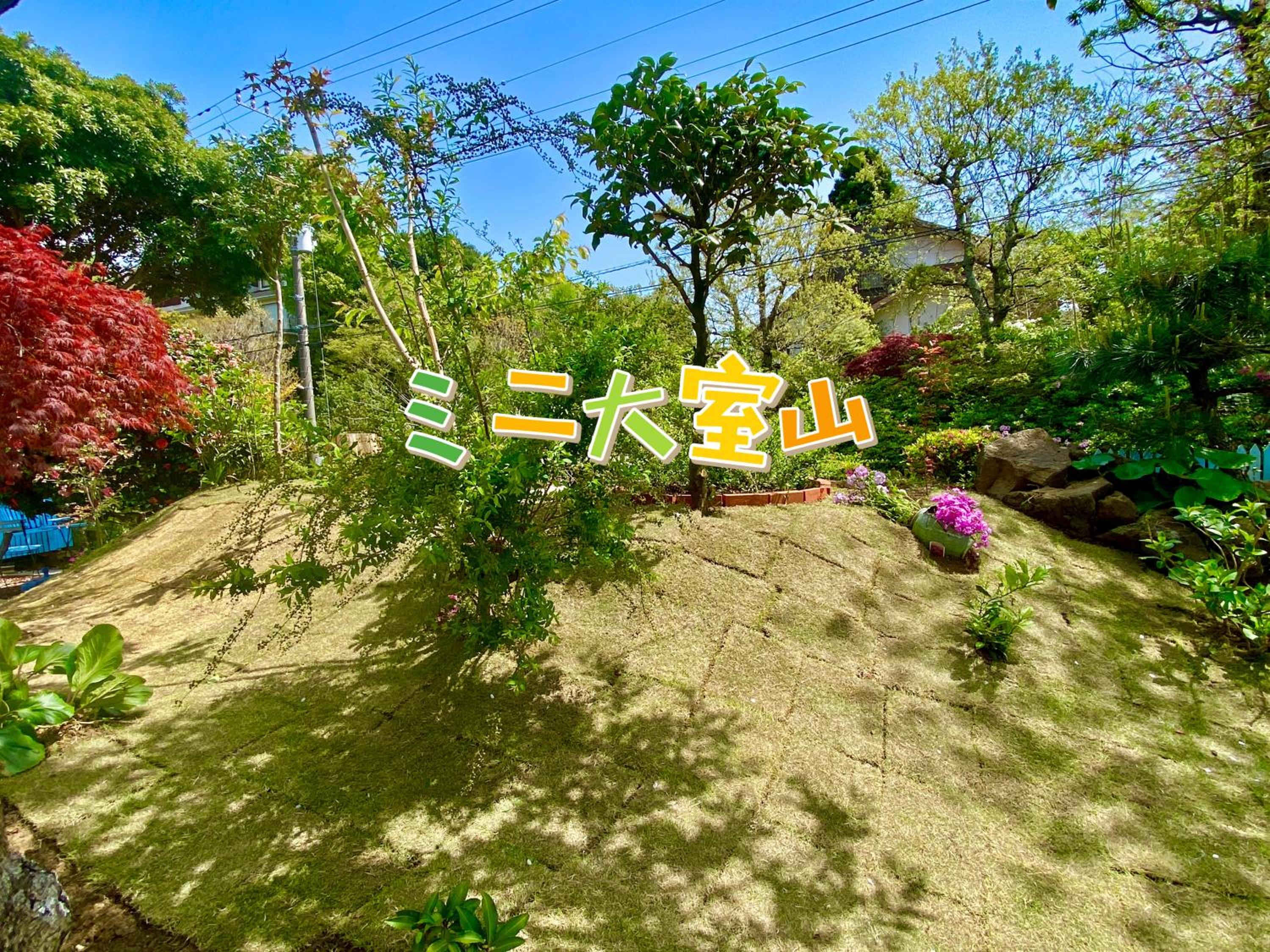 Photo 40
