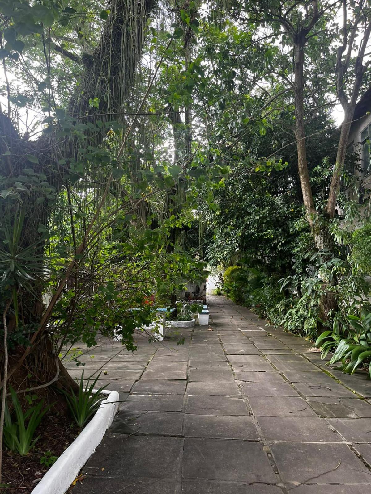 Cantinho do Thiê - Ilha de Paquetá