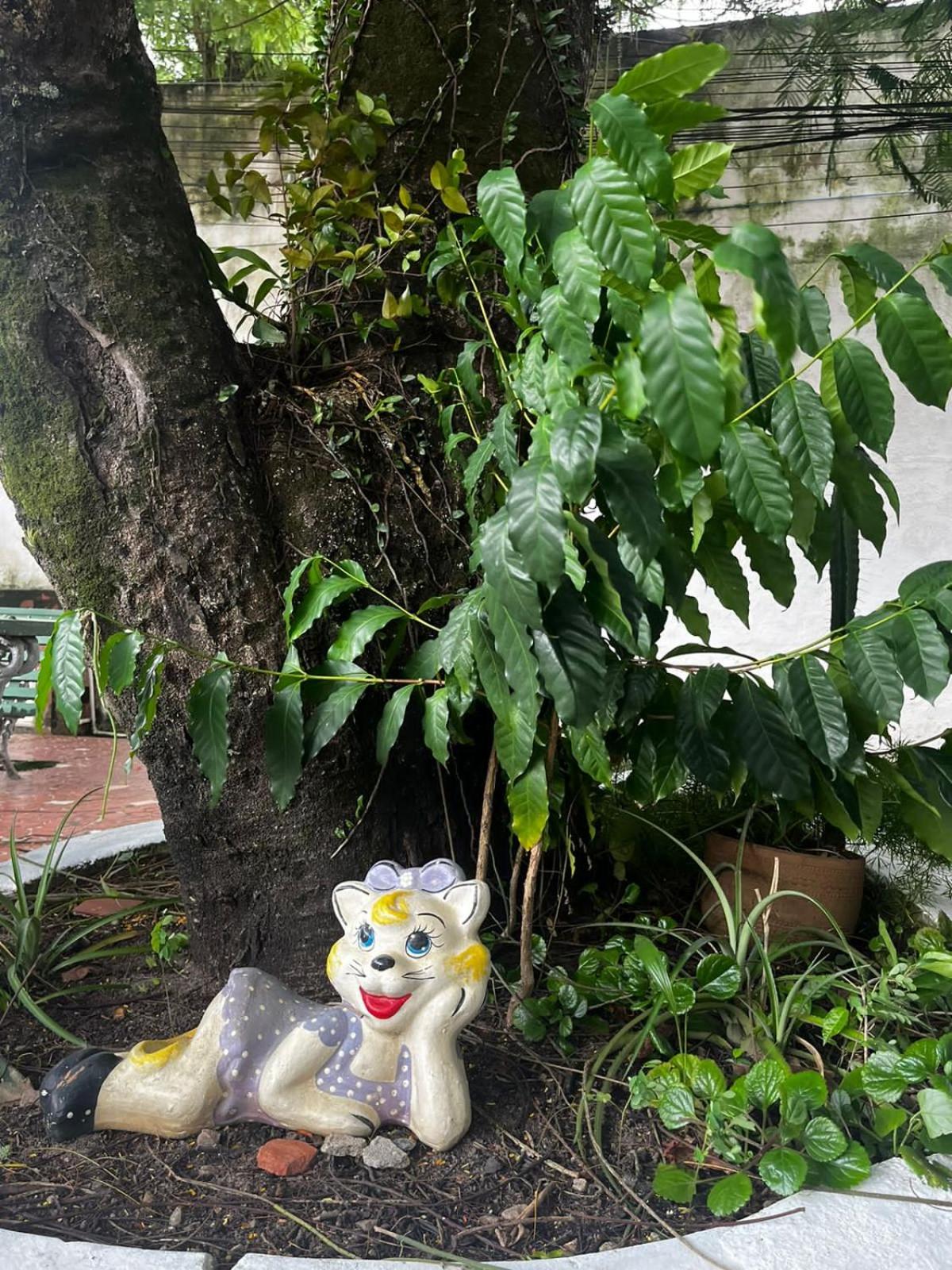Cantinho do Thiê - Ilha de Paquetá