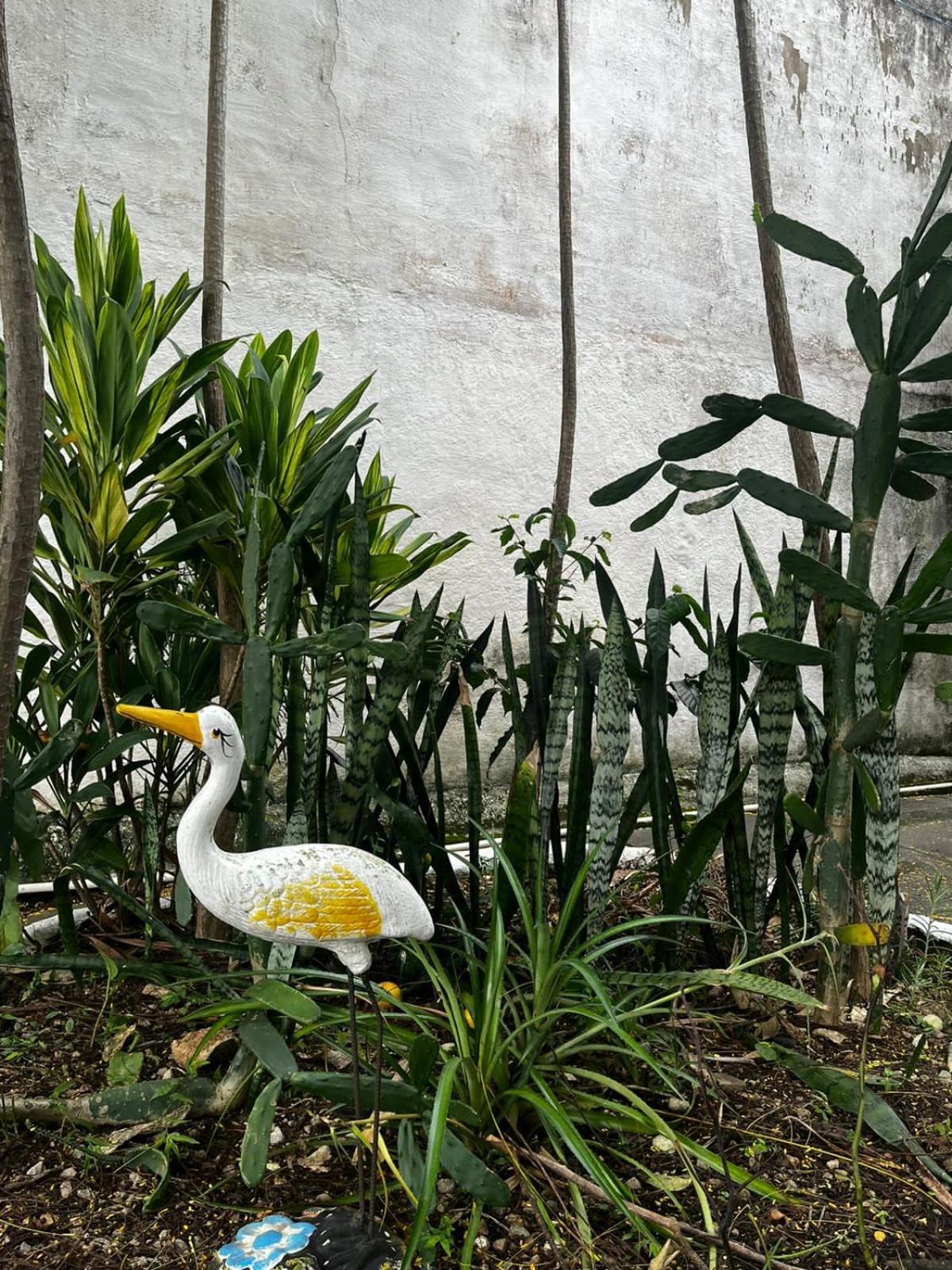 Cantinho do Thiê - Ilha de Paquetá