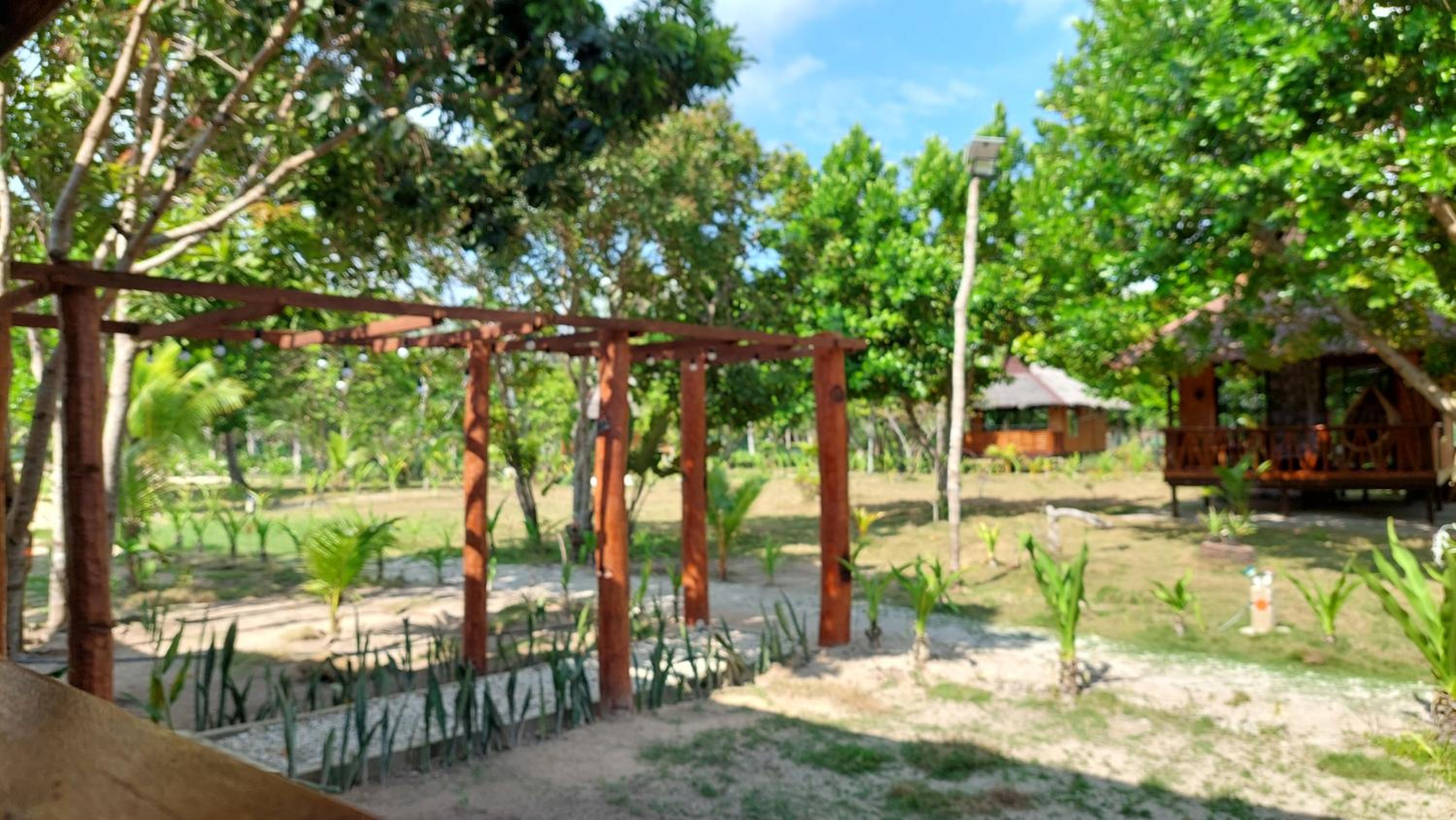 Photo 15