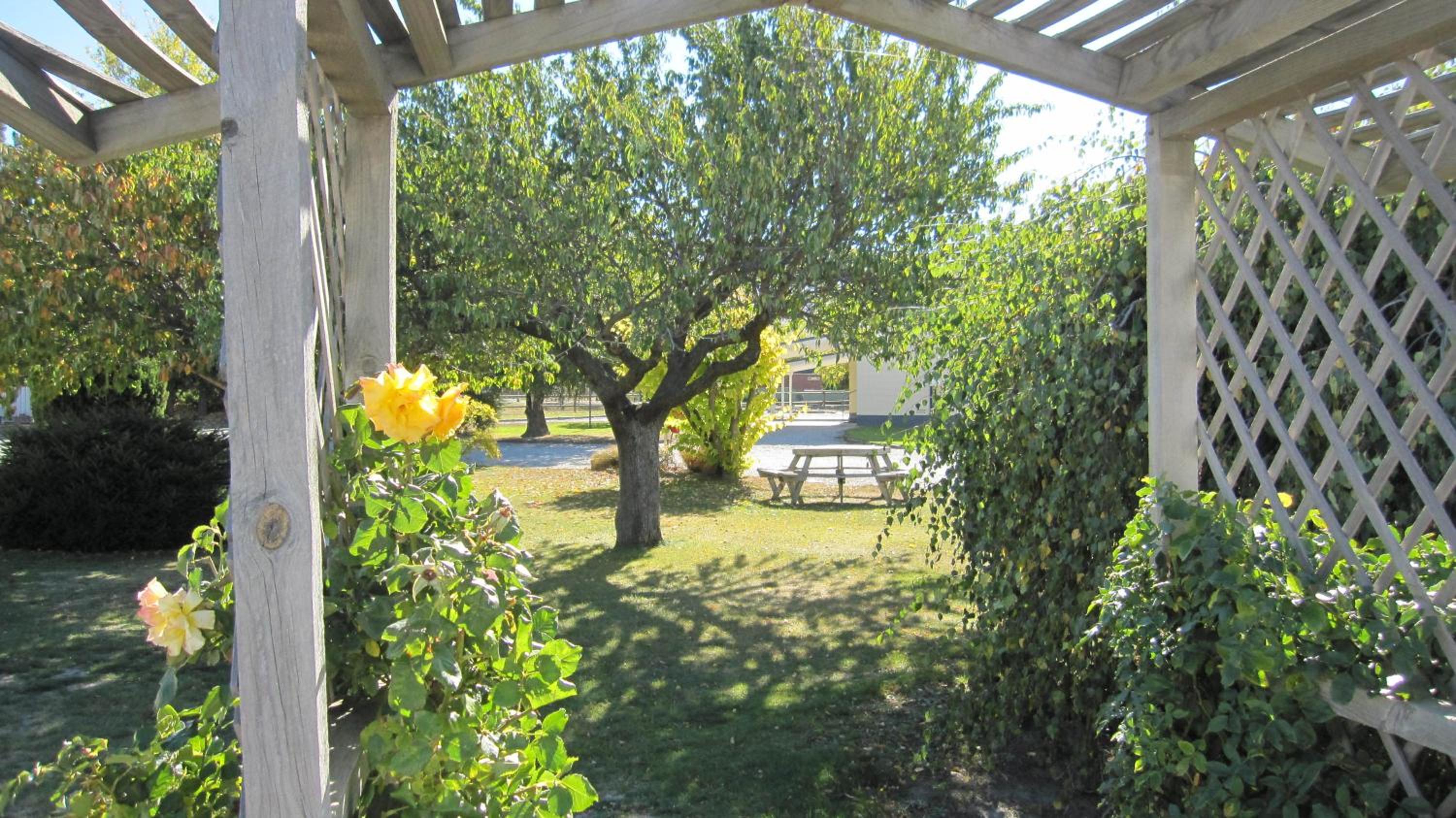 Photo 10
