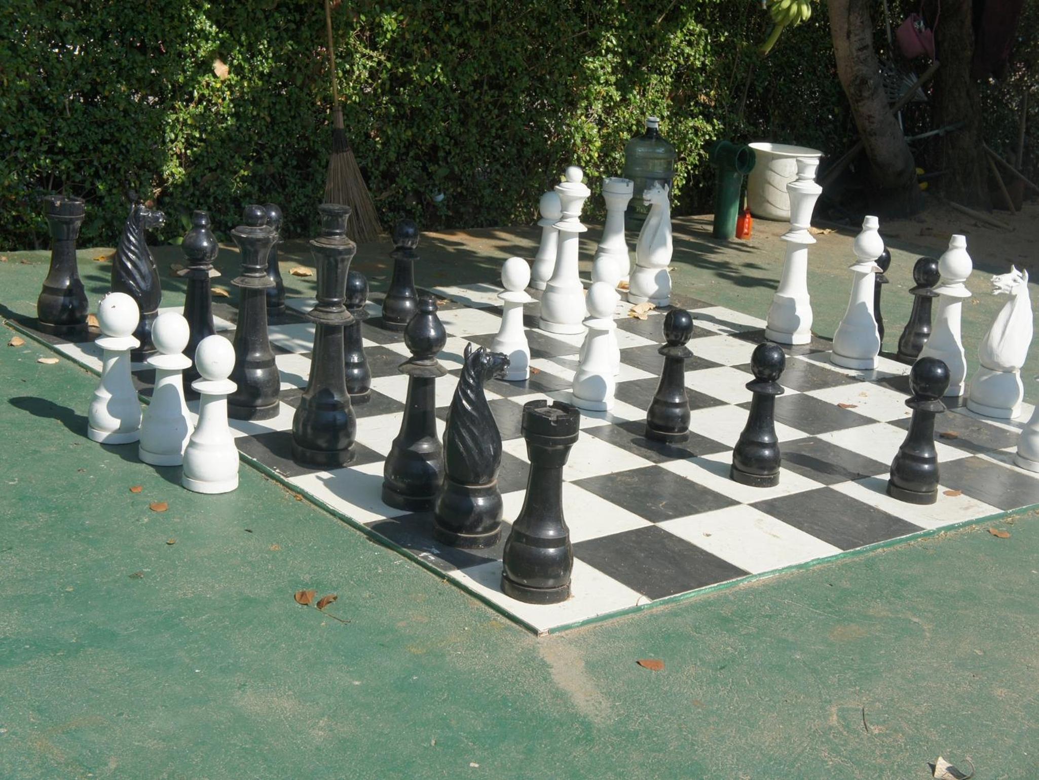 Photo 16