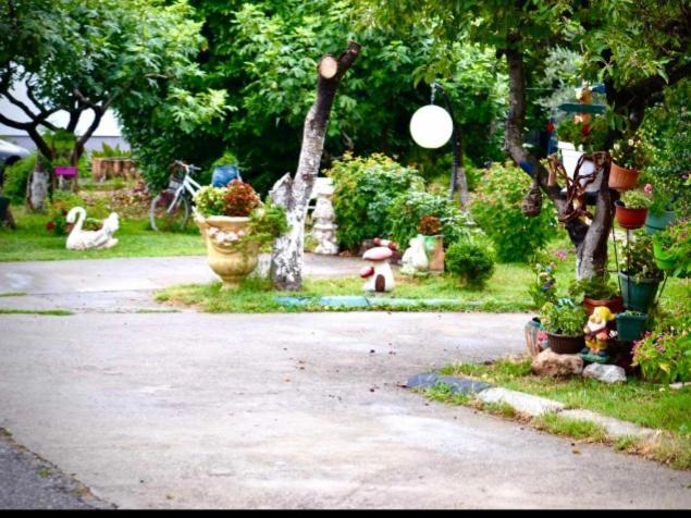 Photo 8