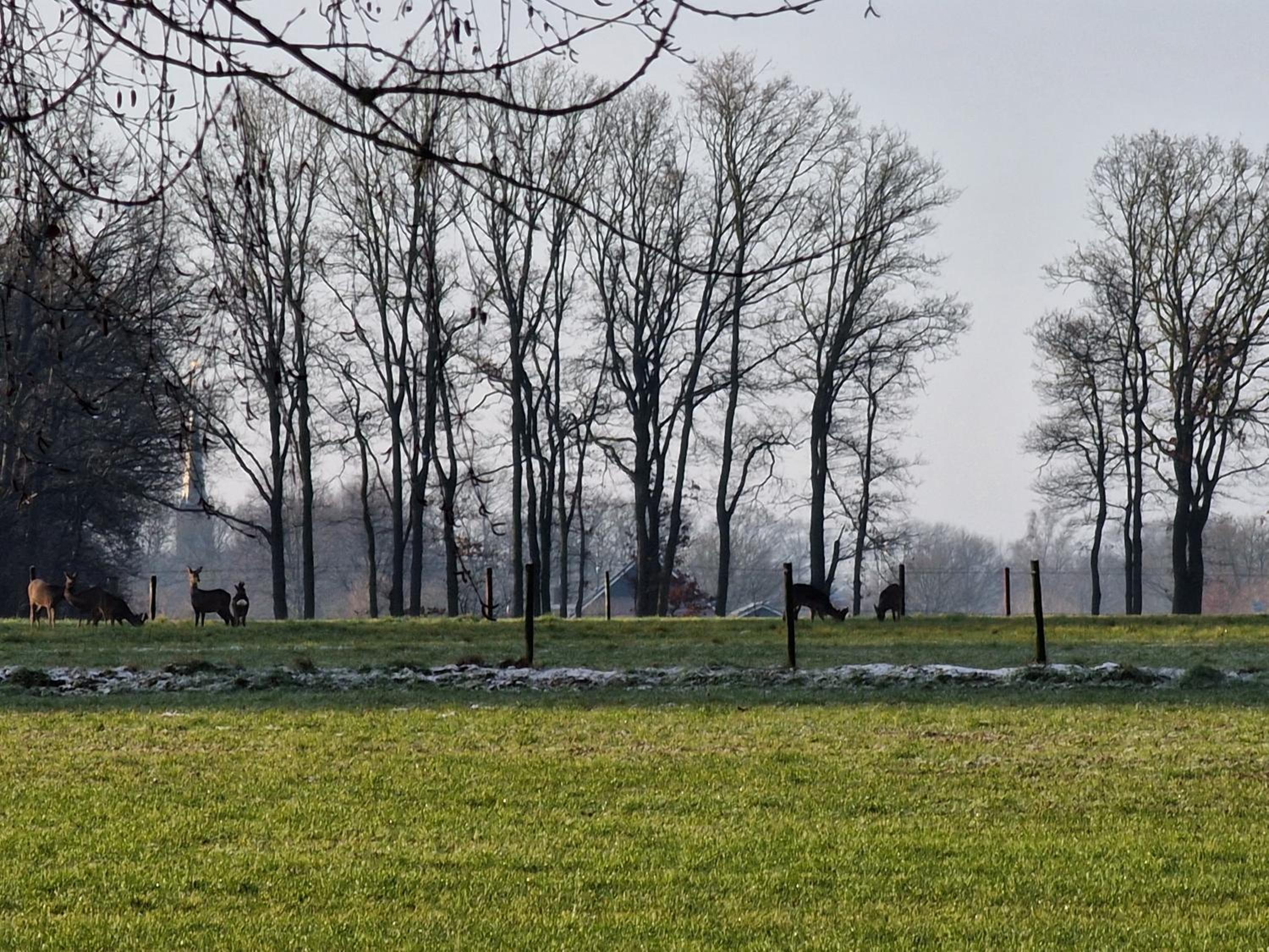 Huisje Weidezicht