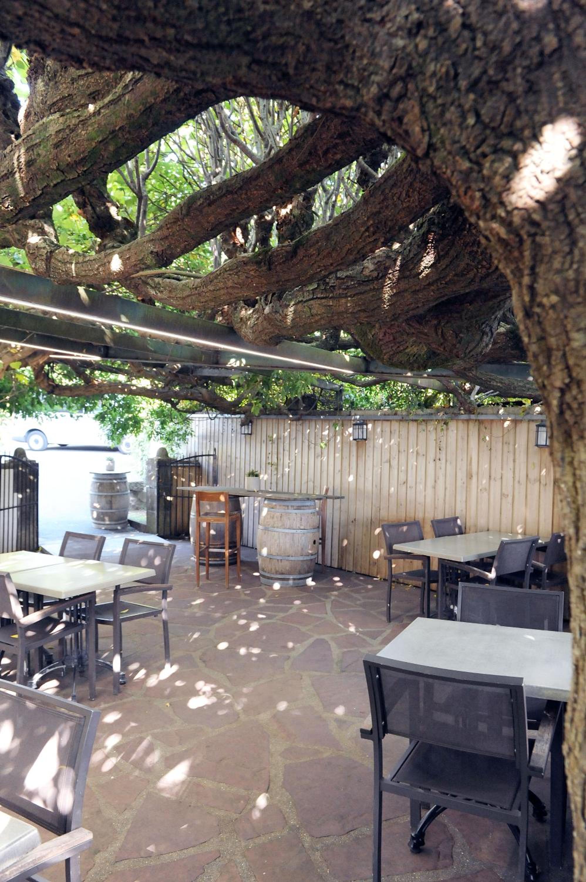 outdoor BBQ area