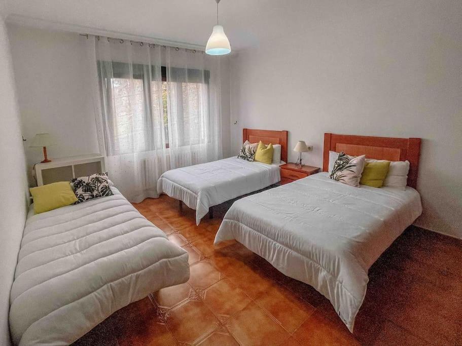 casa patricia