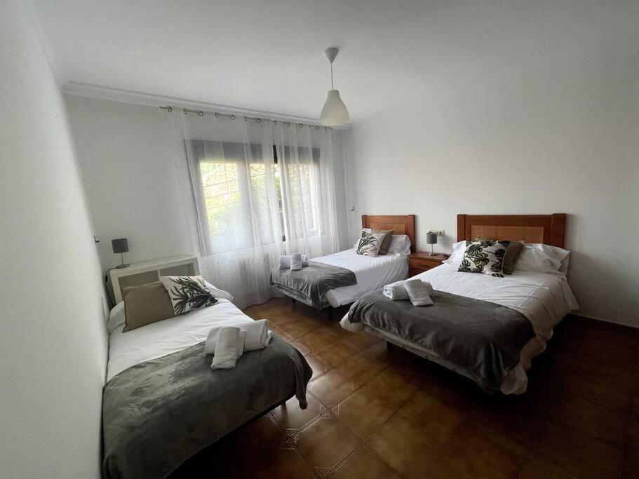 casa patricia