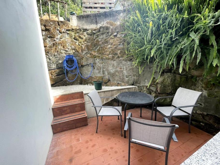 casa patricia