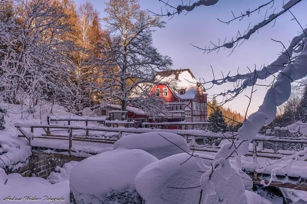FeWo in Ilsenburg Waldblick, schöne Aussicht