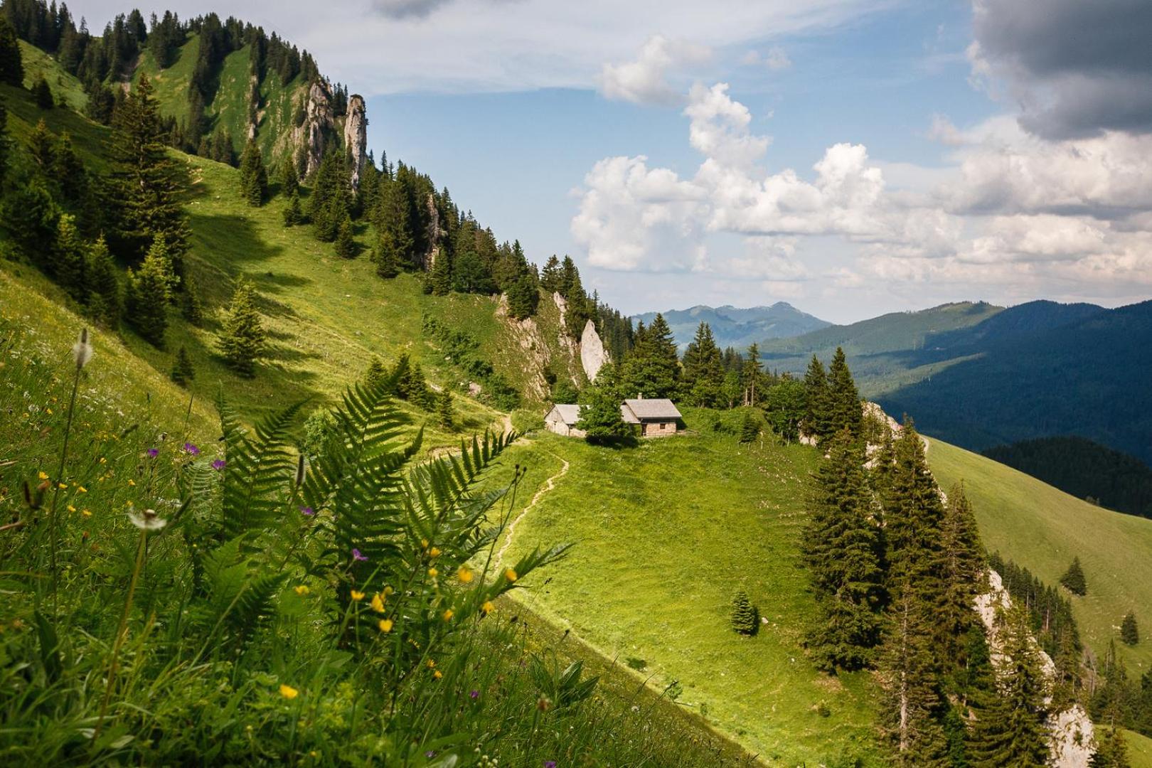 Photo 40