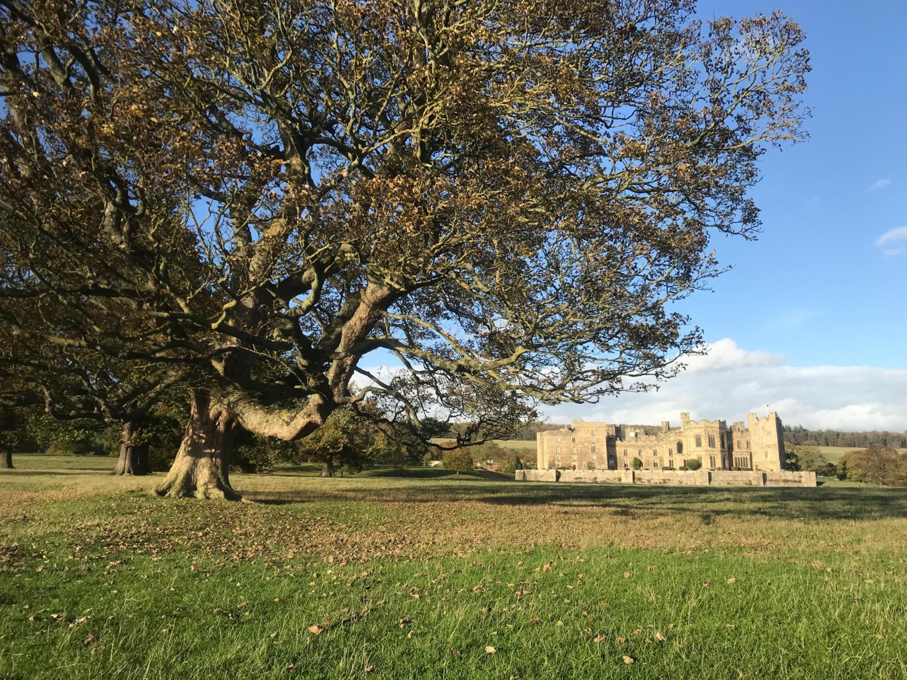 Fremington Hall Farm, Reeth, Swaledale