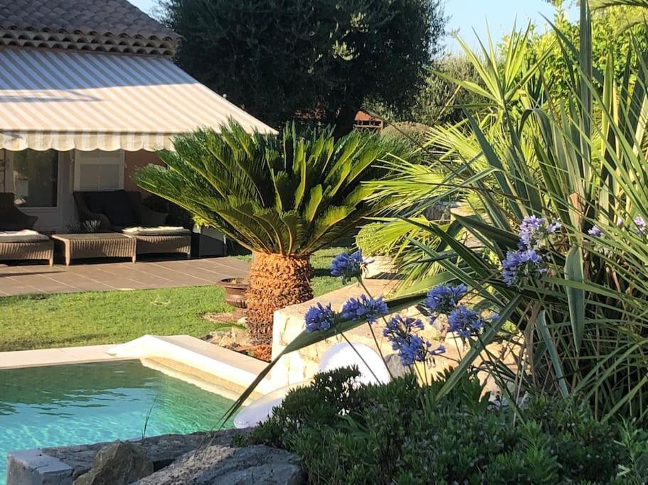 Villa Ty Laouen- villa confort avec piscine et jacuzzi- Parc -Opio-Valbonne
