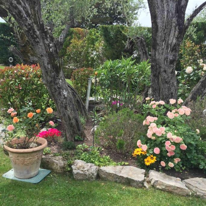 Villa Ty Laouen- villa confort avec piscine et jacuzzi- Parc -Opio-Valbonne