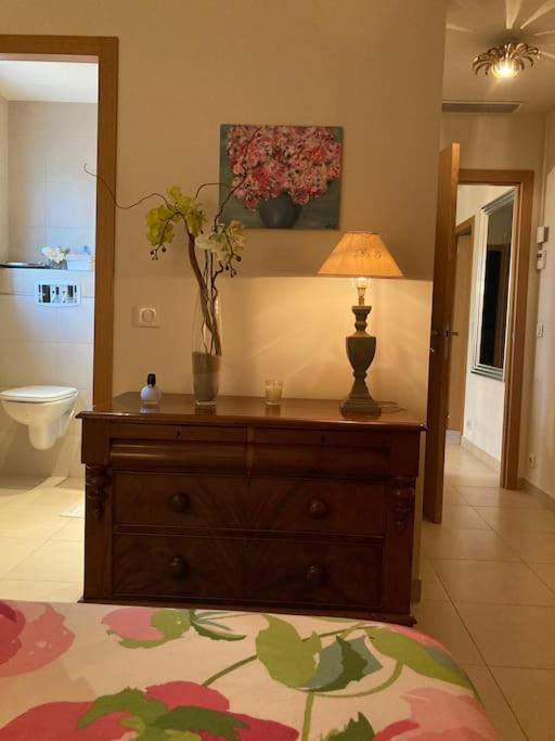 Villa Ty Laouen- villa confort avec piscine et jacuzzi- Parc -Opio-Valbonne