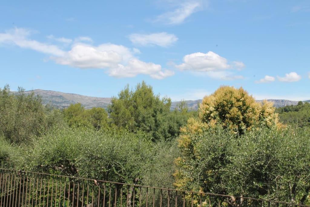 Villa Ty Laouen- villa confort avec piscine et jacuzzi- Parc -Opio-Valbonne