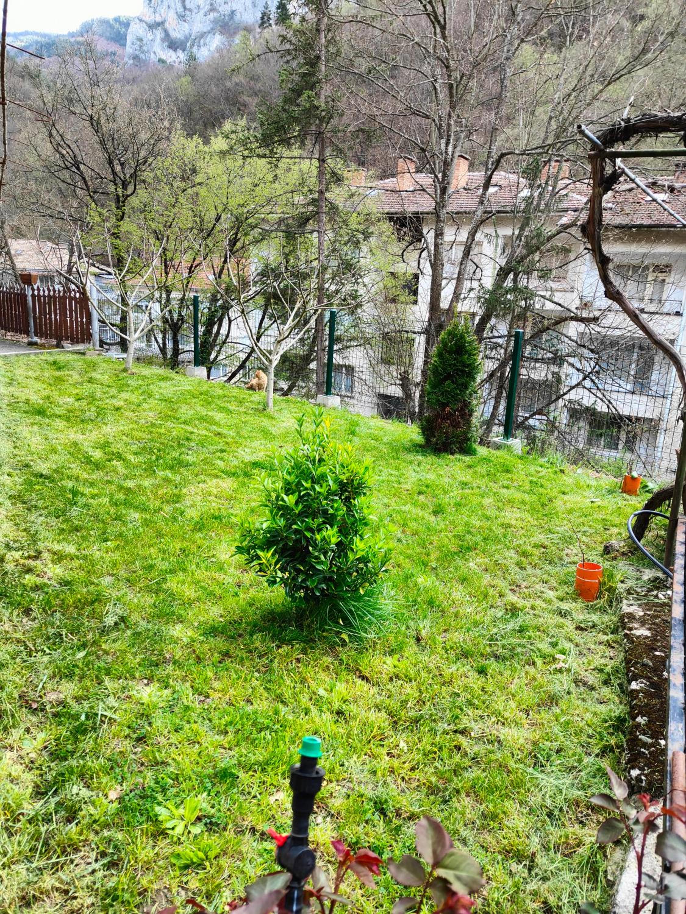 Дом Бакалски-Кмета