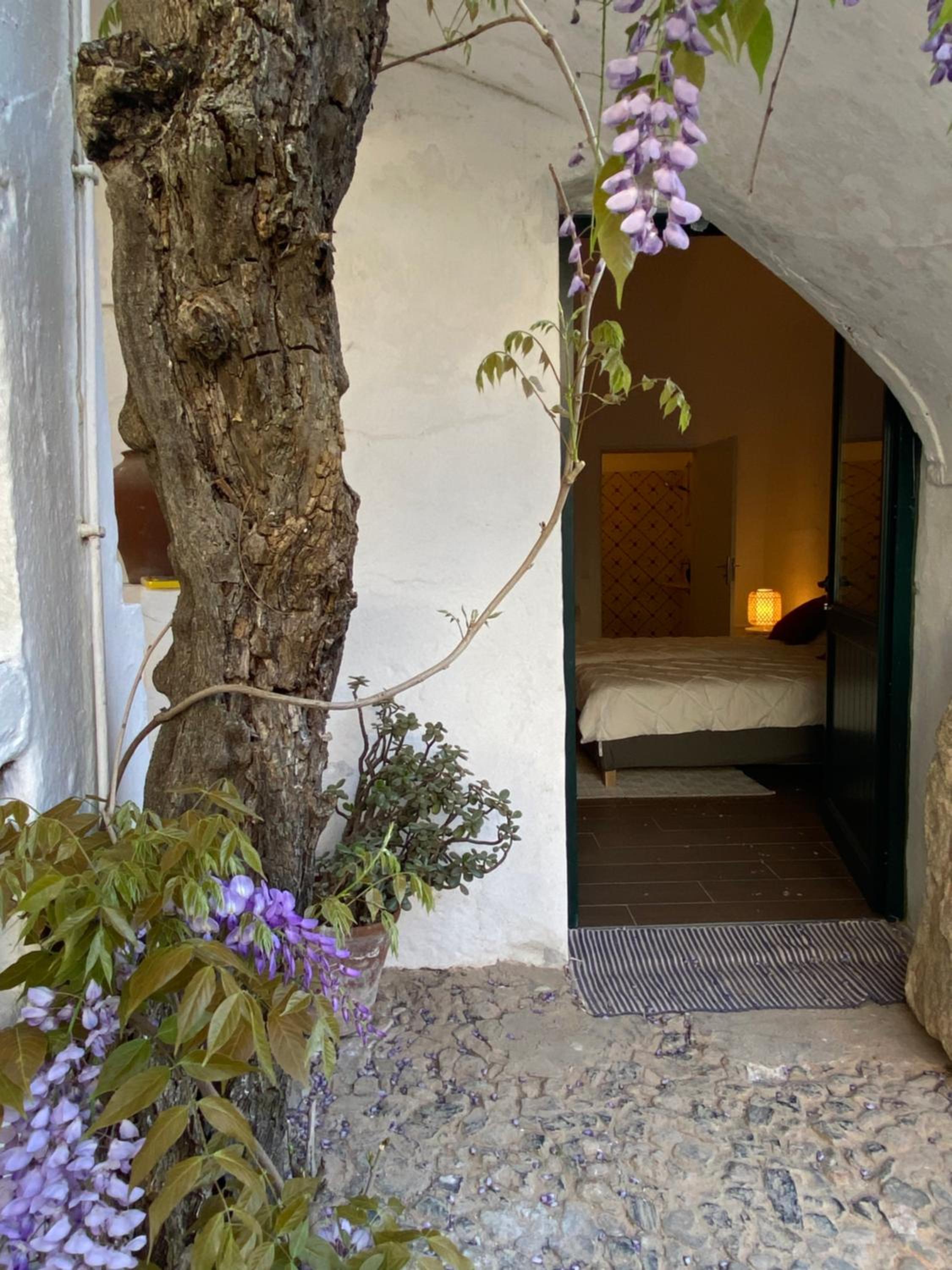 Casa Pereirinha \ Pateo House, Billede 25
