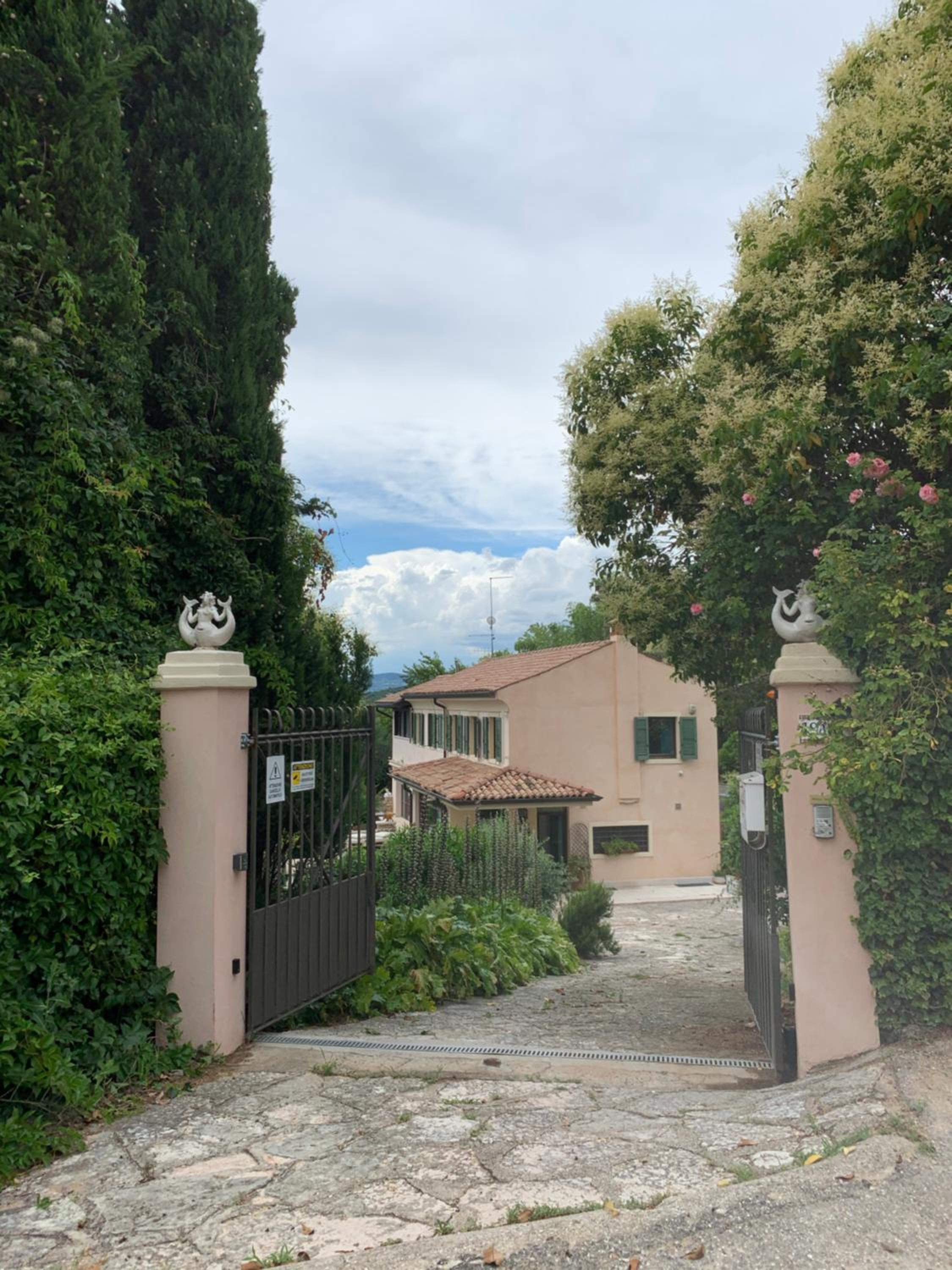 Photo 43