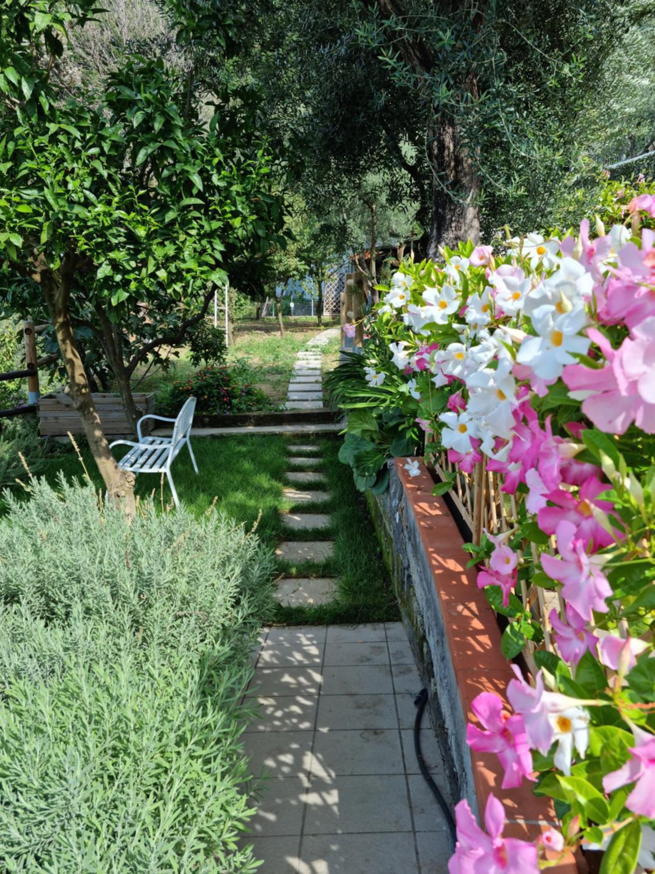Orange Cottage Moderno tra gli ulivi di Sorrento photo 3