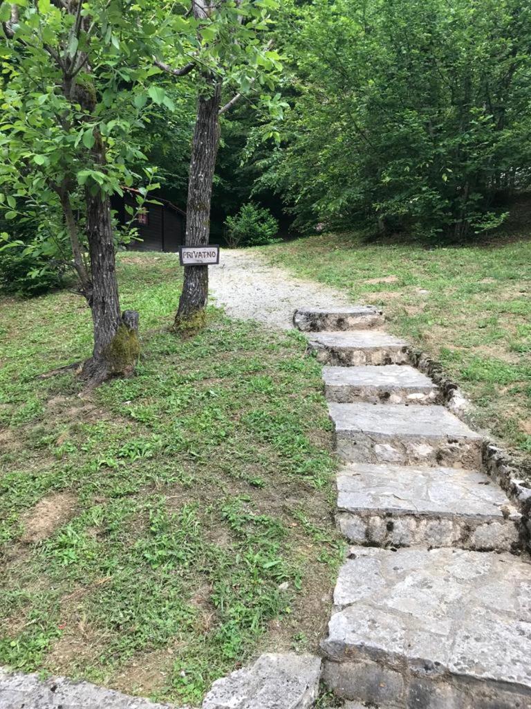 Mrežnički doživljaj