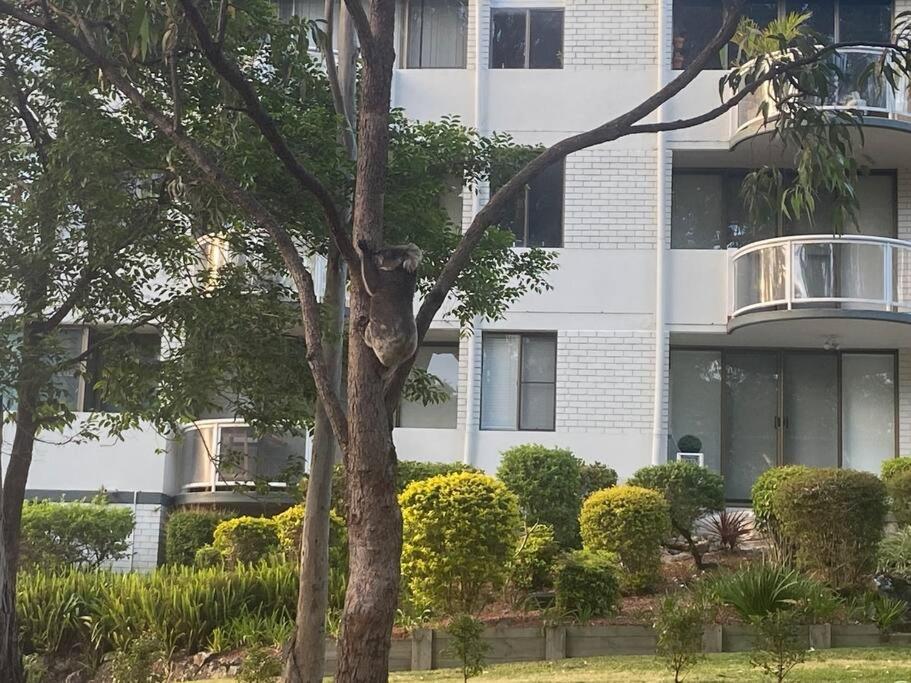 Tranquil Escape - Koala Hotspot - 2 Bed 2 Bath Apt Spectacular Sea Views