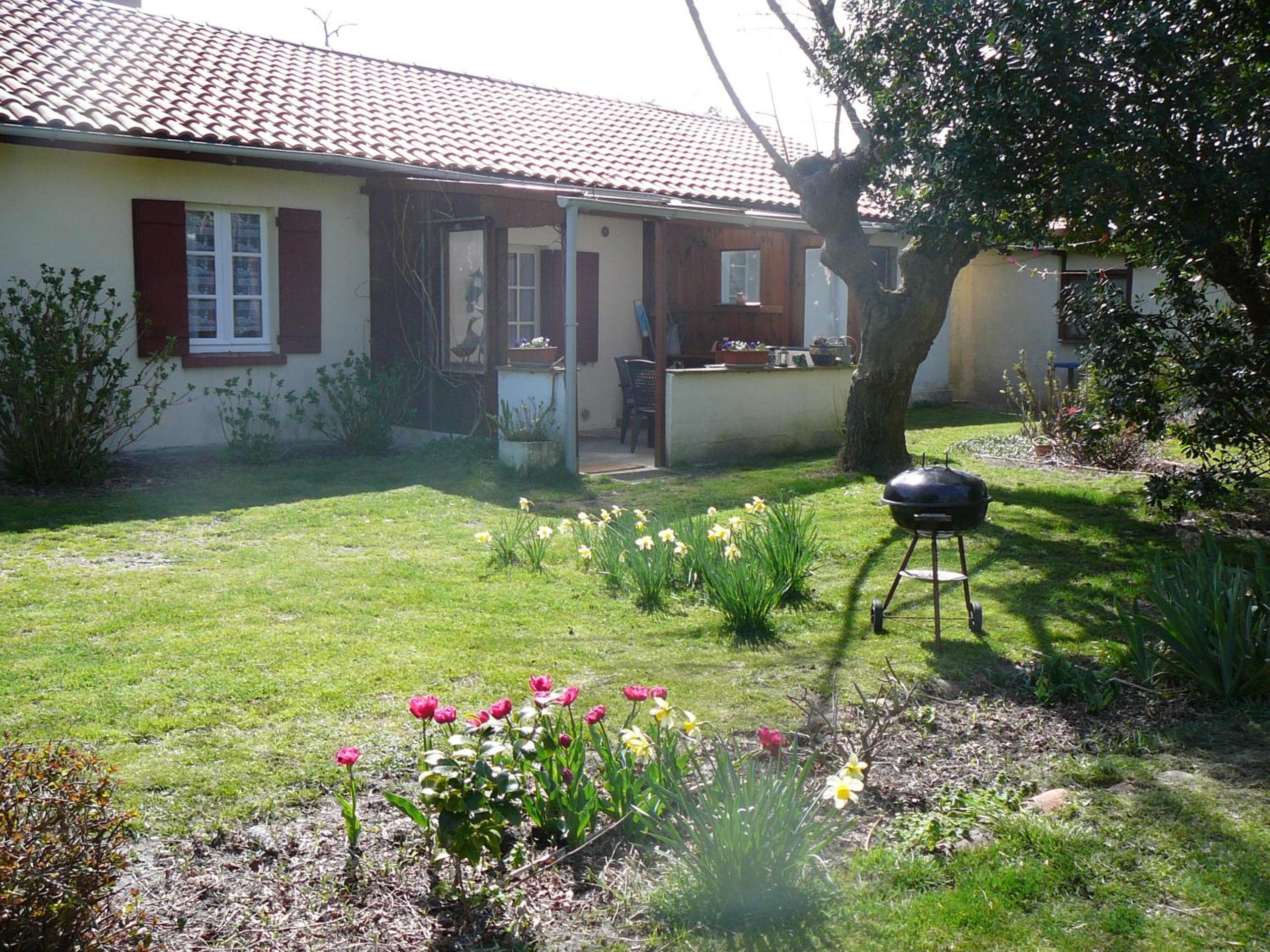 Photo 14